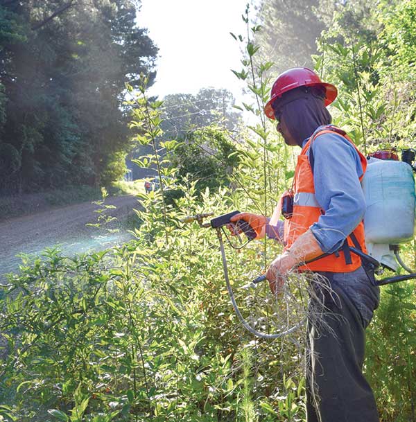 Low volume backpack applications is ideal for Right-Of-Ways invasive species eradication